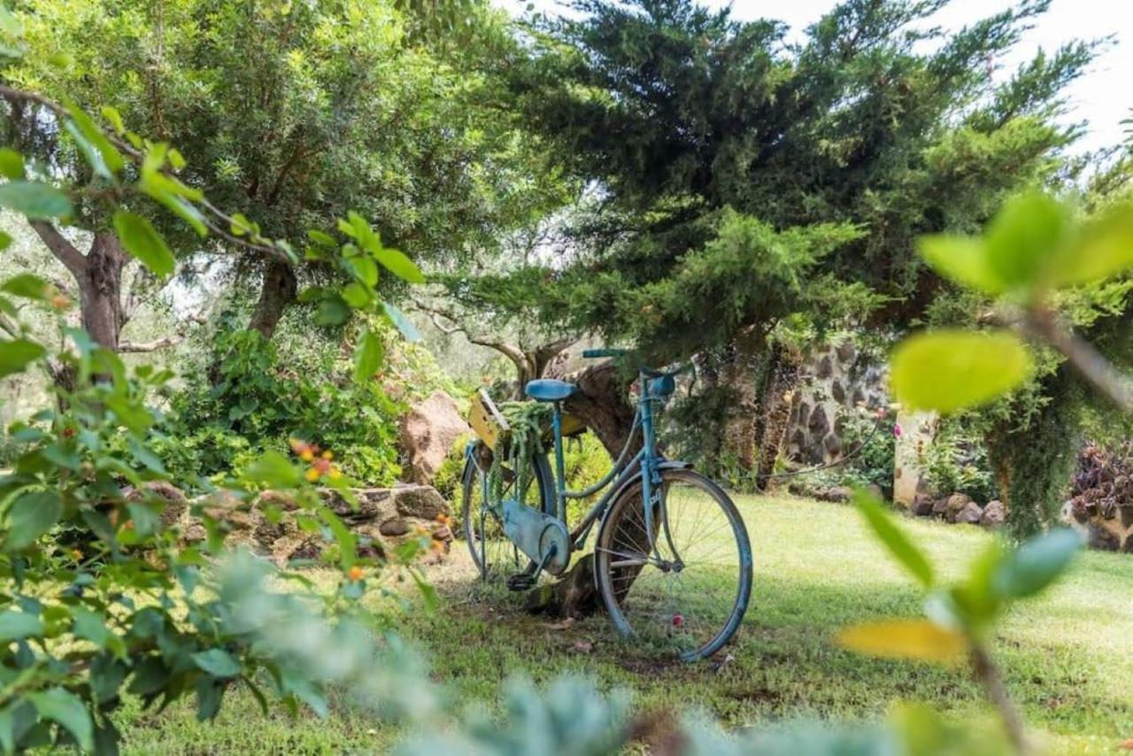 Villa Con Immenso Giardino Orosei Bagian luar foto